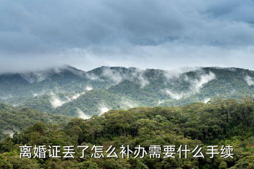 離婚證丟了怎么補辦需要什么手續
