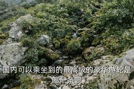 國內可以乘坐到的最高級的豪華游輪是哪一條呢