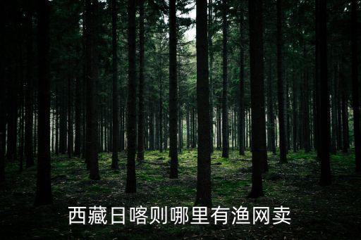 西藏日喀則哪里有漁網(wǎng)賣