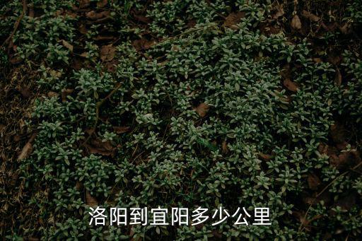洛陽到宜陽多少公里