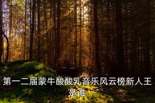 第一二屆蒙牛酸酸乳音樂(lè)風(fēng)云榜新人王是誰(shuí)