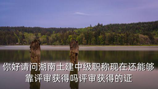 你好請問湖南土建中級職稱現在還能夠靠評審獲得嗎評審獲得的證