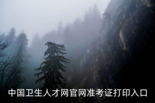 中國衛生人才網官網準考證打印入口