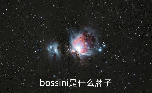 bossini是什么牌子