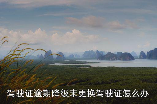 駕駛證逾期降級未更換駕駛證怎么辦