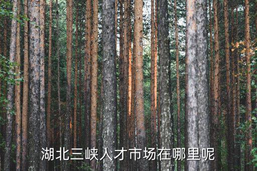 湖北三峽人才市場在哪里呢