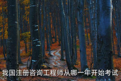 我國(guó)注冊(cè)咨詢工程師從哪一年開(kāi)始考試
