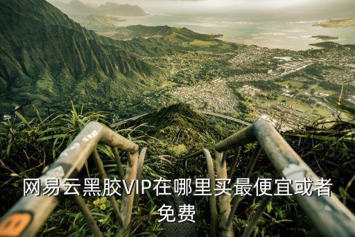網易云黑膠會員，網易云黑膠VIP在哪里買最便宜或者免費