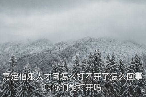 嘉定伯樂人才網(wǎng)怎么打不開了怎么回事啊你們能打開嗎