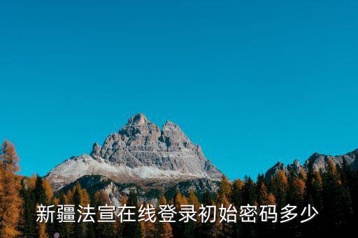 新疆法宣在線登錄初始密碼多少
