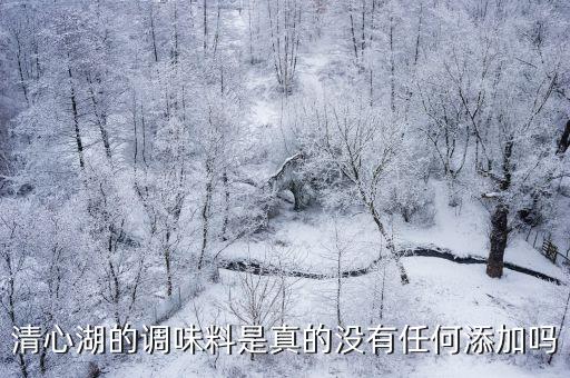清心湖的調味料是真的沒有任何添加嗎