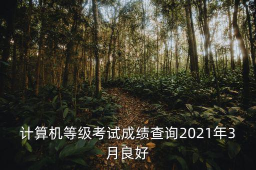 計算機等級考試成績查詢2021年3月良好