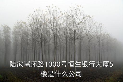 陸家嘴環路1000號恒生銀行大廈5樓是什么公司