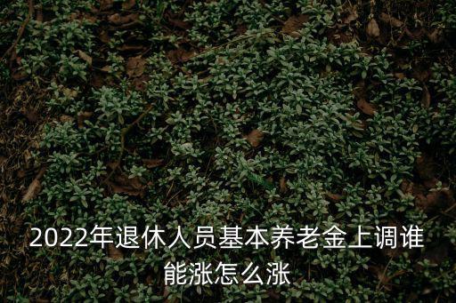 退休人員養(yǎng)老金上調(diào)，2022退休人員養(yǎng)老金上調(diào)標(biāo)準(zhǔn)