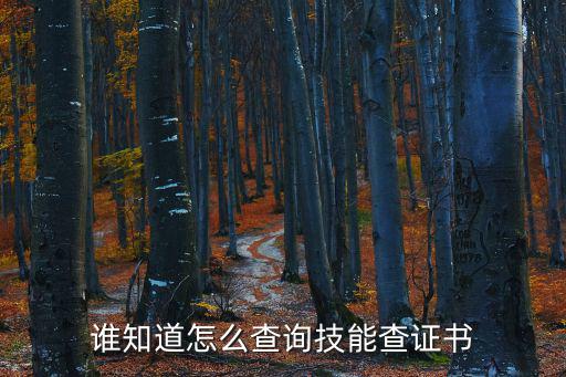 誰知道怎么查詢技能查證書