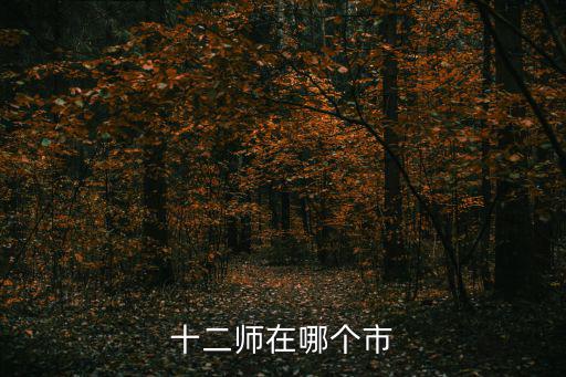 十二師在哪個市