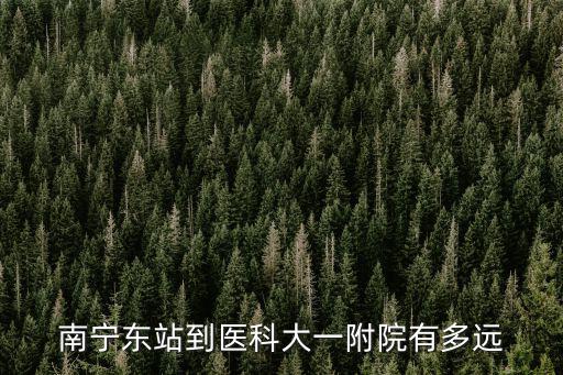 南寧東站到醫(yī)科大一附院有多遠(yuǎn)
