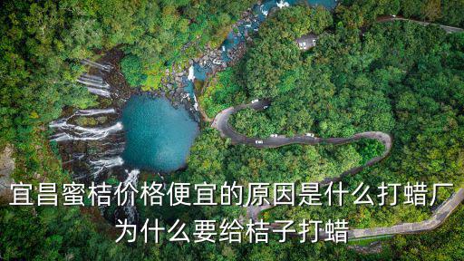 宜昌蜜桔價(jià)格便宜的原因是什么打蠟廠(chǎng)為什么要給桔子打蠟