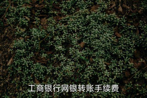 工商銀行網(wǎng)銀轉(zhuǎn)賬手續(xù)費