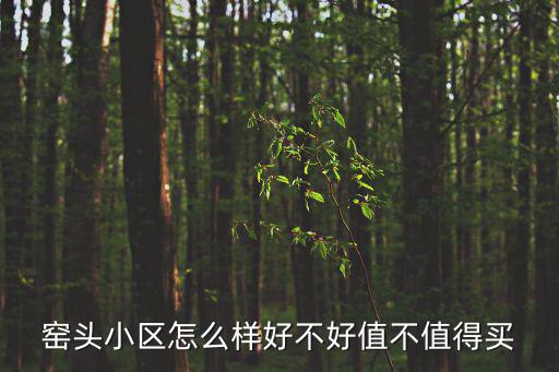 窯頭小區怎么樣好不好值不值得買