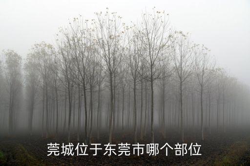 莞城，莞城是什么市什么省