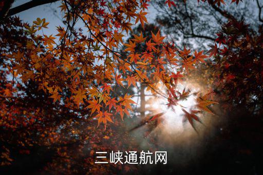 三峽西陵網，枝江三峽網