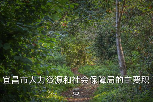 宜昌市人力資源和社會保障局的主要職責(zé)