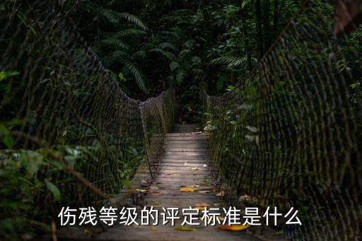 傷殘等級的評定標準是什么