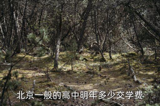 北京一般的高中明年多少交學費