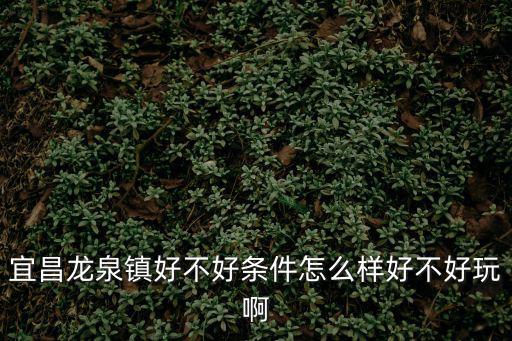 宜昌龍泉鎮(zhèn)好不好條件怎么樣好不好玩啊