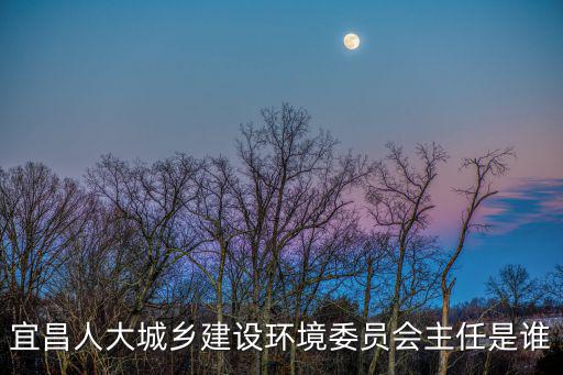 宜昌人大城鄉建設環境委員會主任是誰