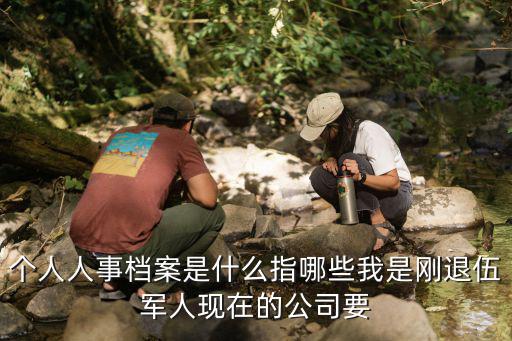 個人人事檔案是什么指哪些我是剛退伍軍人現在的公司要