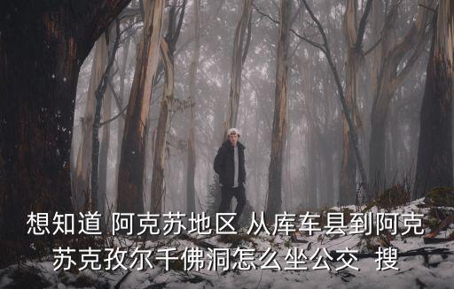 想知道 阿克蘇地區(qū) 從庫(kù)車縣到阿克蘇克孜爾千佛洞怎么坐公交  搜