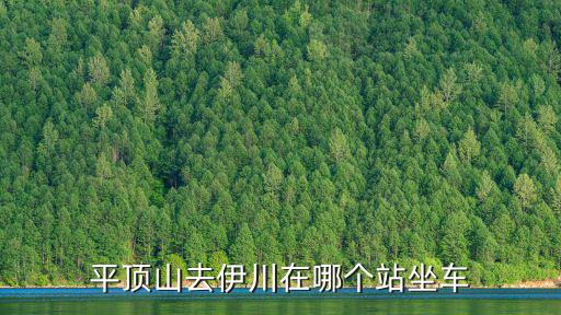 伊川站，平頂山去伊川在哪個(gè)站坐車