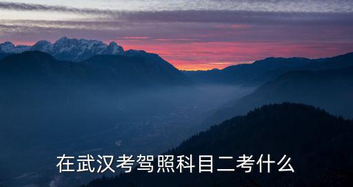 駕照科目二考什么，科目一科目二科目三科目四分別考什么
