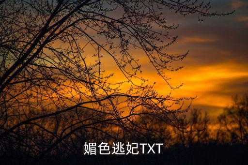 媚色逃妃TXT