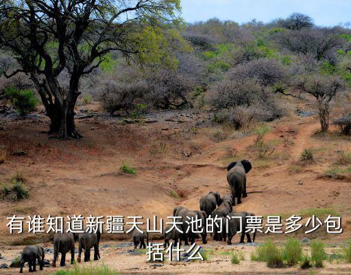 有誰知道新疆天山天池的門票是多少包括什么