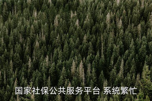 社保公共服務平臺，武漢市社會保險公共服務平臺怎么查詢