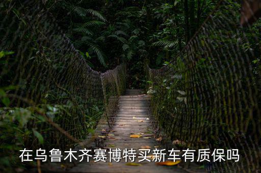 賽博特，賽博特離石化有多遠