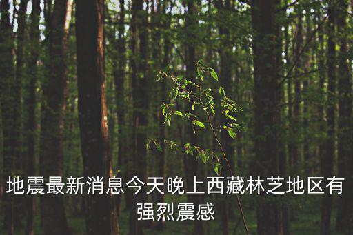 地震最新消息今天晚上西藏林芝地區(qū)有強烈震感