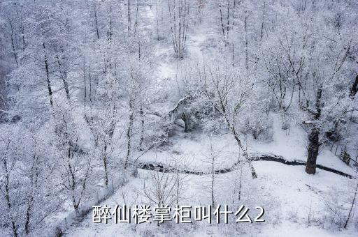 醉仙樓掌柜叫什么2