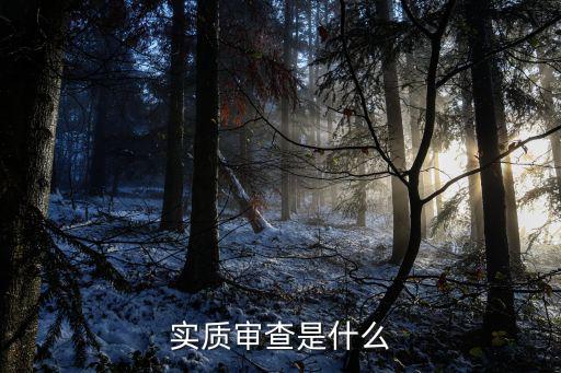 實(shí)質(zhì)審查是什么