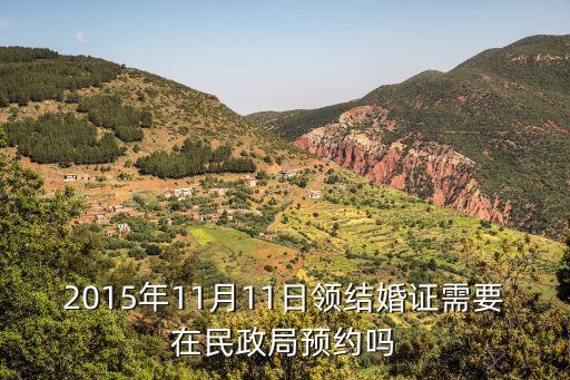 2015年11月11日領(lǐng)結(jié)婚證需要在民政局預(yù)約嗎