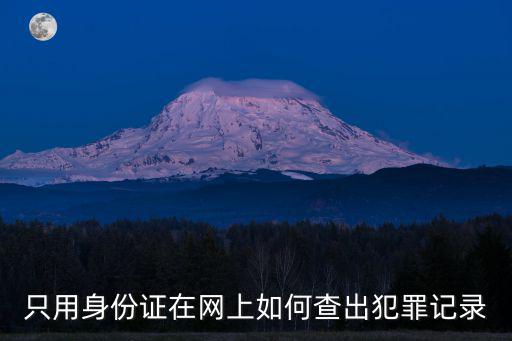 只用身份證在網(wǎng)上如何查出犯罪記錄