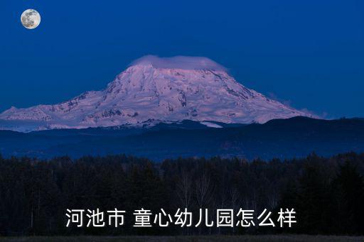 河池市 童心幼兒園怎么樣
