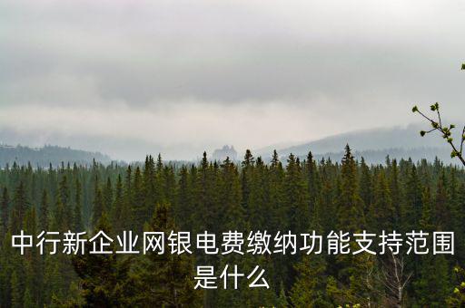 中行新企業網銀電費繳納功能支持范圍是什么