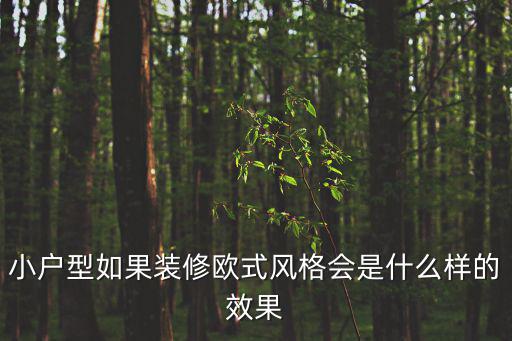 歐美裝修風格，小戶型如果裝修歐式風格會是什么樣的效果