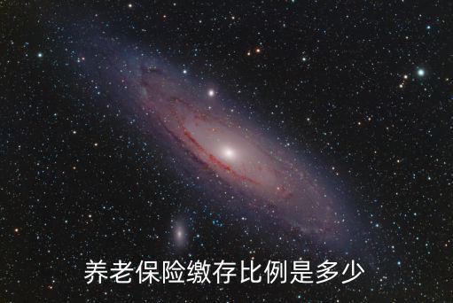 養老保險繳存比例是多少