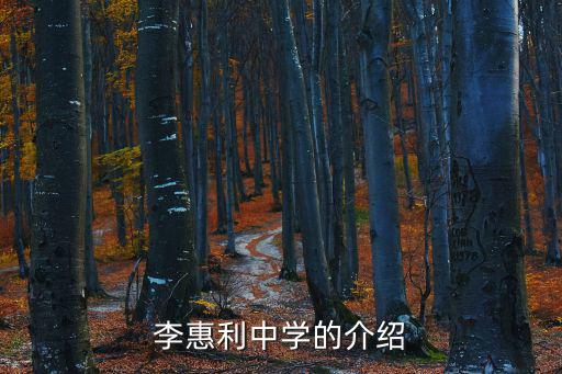 李惠利中學，李惠利中學好么