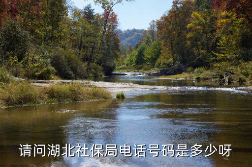 請問湖北社保局電話號碼是多少呀